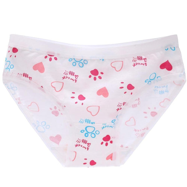 Little briefs (up to 3xl) - briefs - panties - panty - plus size - sized